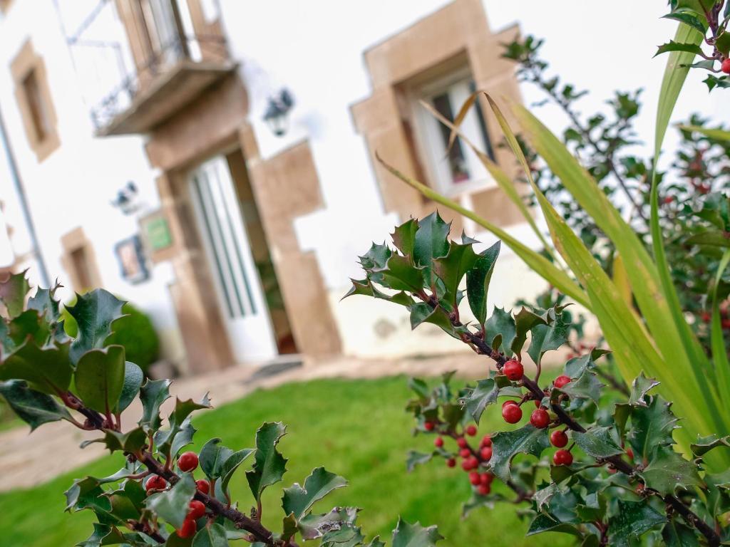 Casa Rural El Balcon De Tera Pensjonat Zewnętrze zdjęcie